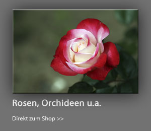 rosen-index30003